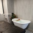 혼목쌀롱 이미지