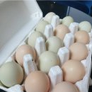 리안농장 이미지