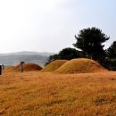 원유남 선생묘 이미지