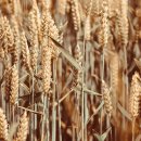 청진문화사 | 역사학 - 조선 시대 실크로드