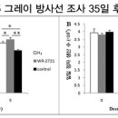 수소수이야기 이미지