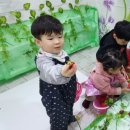 승현2농장 이미지