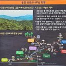 소광리민박 | 울진 금강소나무숲에서 가장 나이가 많은 보호수(500년), 금강송 휴게소 사랑바위