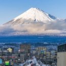 꽃사세요 꽃 | 🌸 복숭아꽃이 피는 꿈 꿨다고요? 지금 바로 복권 사세요 — 자연 꿈 해몽 완전 정리