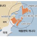 빨강머리앤 이미지
