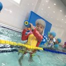 리틀아쿠아파크 이미지