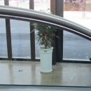 루마버텍스 썬팅명가 이미지