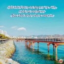 동동다리 이미지
