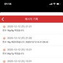 펫맘 이미지