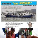 6월 20일(토) 삼천포 돌문어 조황입니다. 이미지