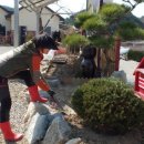 상록수펜션 이미지