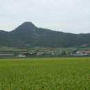 순흥농장 이미지