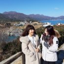 신선대한우곰탕 이미지