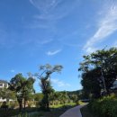 참손길지압힐링센터수원역점 | 수원/ '수원천' 런닝코스+ 참손길지압마사지 수원역점 방문후기