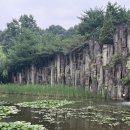 수목원 | 부천 무릉도원수목원 후기｜여름휴가에 다녀온 도심 속 자연 산책