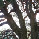 답곡리마을 이미지