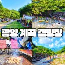 봉강 하조 오토캠핑장 이미지