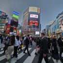 교차로 | 도쿄 시부야 스크램블 교차로 방문 후기