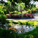 여미지식물원 이미지