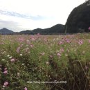 용정주유소 이미지