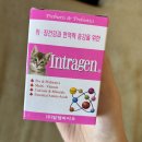 멍이와냥이 | 고양이 장거리 이동 + 고양이와 함께 여행하기 후기와 준비과정, 준비물품