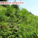 연제구-121 이미지