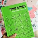 마미포레