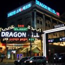 드래곤힐스파 이미지