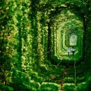 그대그리고나 이미지