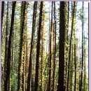 증산초교 이미지