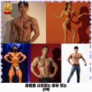 바디트랜스짐 정왕점 헬스 PT 이미지