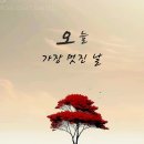수수하게 Daum카페