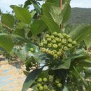 와동농장 이미지