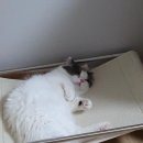 대구마트 이미지