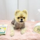 올인 크리닝 이미지