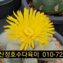 마옥농장 네이버블로그