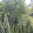 블루엔젤 하우스 이미지