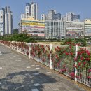 꽃나래 - 강남구 도산대로26길 11 | 꽃나래