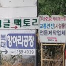 정글팩토리 이미지