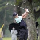 PGA(271) 이미지