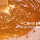 아우어디자인 티스토리