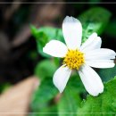 이미지-또 하나의  이미지