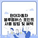 현대자동차블루서비스 진천점 | 현대자동차 블루멤버스 포인트 사용 방법 및 혜택