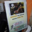 기쁨씨편의점