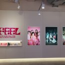 원엔터 이미지