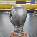 WS 복싱클럽 고촌 플러스점 이미지