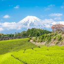 2박3일 일본여행, 부모님과 떠나기 좋은 일본 여행지 추천 7 이미지