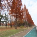 유수지근린공원 이미지