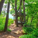 팔공산원효구도의길 | 대구 팔공산, [원효 구도의 길]에서 만나는 천년암자 오도암