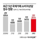 "알리·테무, 아고다·트립닷컴…해외직구·항공권 피해상담 급증" 이미지